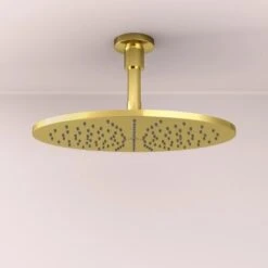 Ideal Standard Kopfbrauseanschluss Idealrain Atelier Gold 10 Ideal Standard Kopfbrauseanschluss Idealrain Atelier Gold -Dusche Geschäft 887860 3049 2