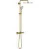 Grohe Duschsystem Euphoria System 310 Cool Sunrise Gebürstet -Dusche Geschäft 964600 4520 26075GN0